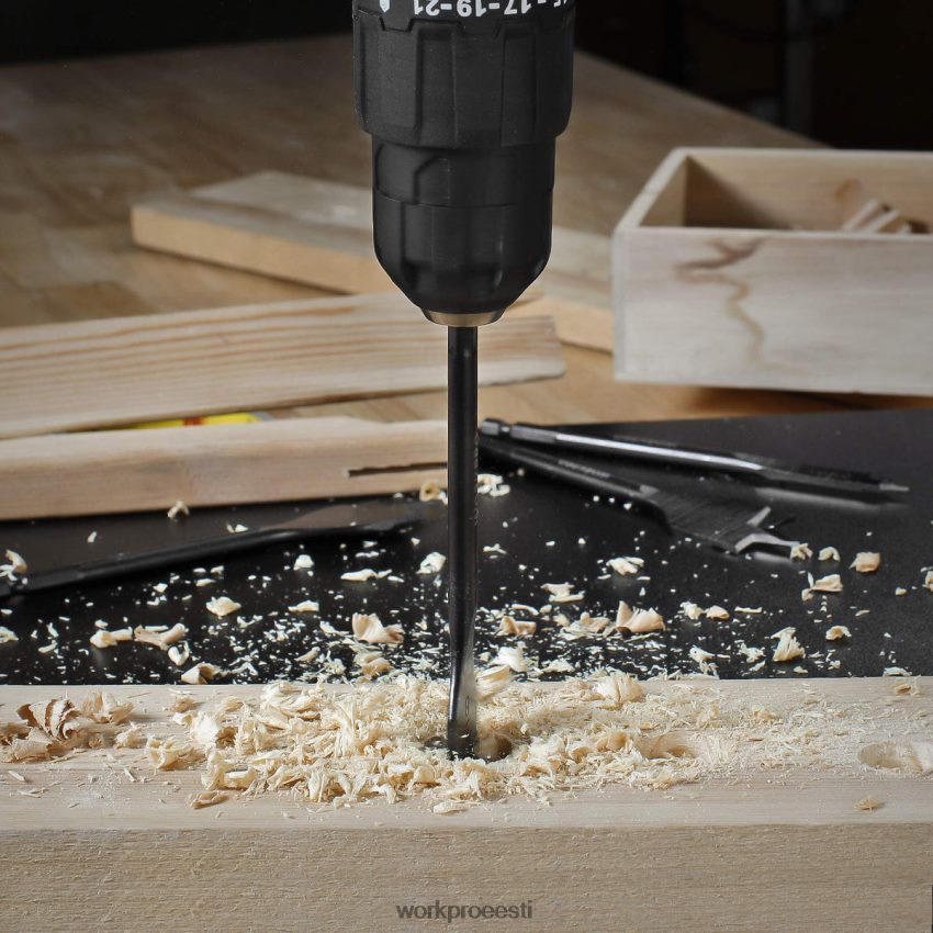 WORKPRO 10 tk premium-süsinikterasest pro labidapuurite komplekt abivalmis 68XH6P192 tööriist
