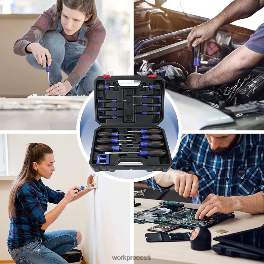 WORKPRO magnetkruvikeerajate komplekt, 16 tk torx piluga Phillipsi täppiskruvikeerajad koos magnetisaatoriga uus 68XH6P98 tööriist
