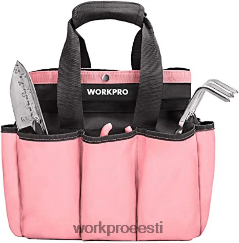 WORKPRO aiatööriistade kott, 8 taskuga aiakäekott, kodukorraldaja sise- ja välisaiatöödeks roosa/roheline 68XH6P256 ladustamine