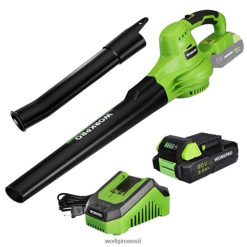 WORKPRO 20 V kerge mini juhtmeta lehepuhur koos aku ja laadijaga, 2-käiguline juhtimine morden 68XH6P303 tööriist