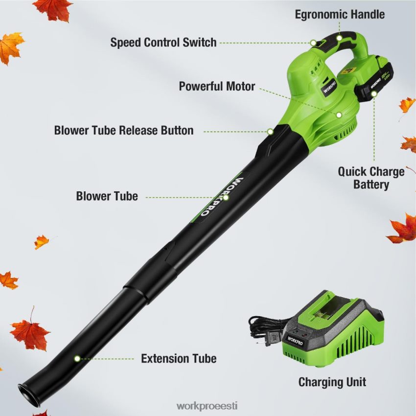 WORKPRO 20 V kerge mini juhtmeta lehepuhur koos aku ja laadijaga, 2-käiguline juhtimine morden 68XH6P303 tööriist